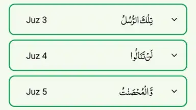 Quran Majeed screenshot 1