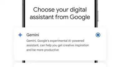 Google Gemini screenshot 7