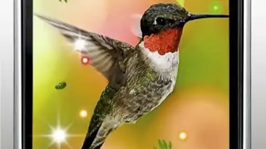 Colibri Spring 3D LWP screenshot 2