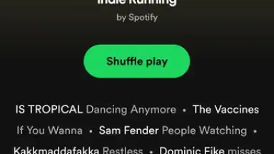 Spotify Lite screenshot 4