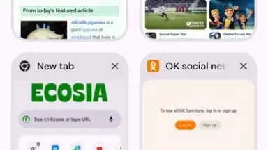 Chrome Beta screenshot 19