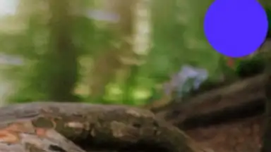 Rus Wife screenshot 7
