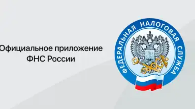 Налоги ФЛ screenshot 1