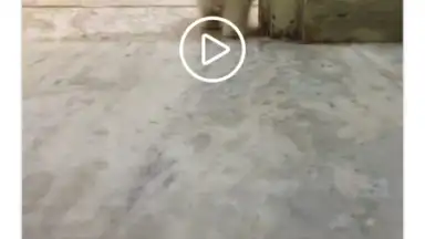 InstaSave screenshot 1