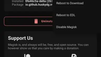 Magisk Delta screenshot 7