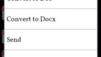 PDF to Word Converter screenshot 2