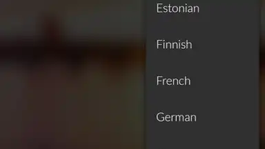 Microsoft Translator screenshot 4
