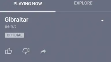 YouTube Music screenshot 4