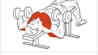 FitProSport screenshot 5