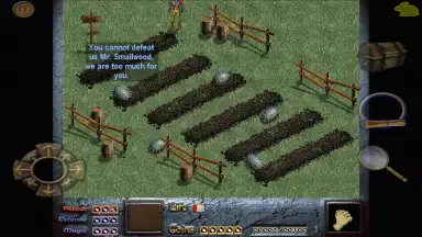 Dink Smallwood HD screenshot 11
