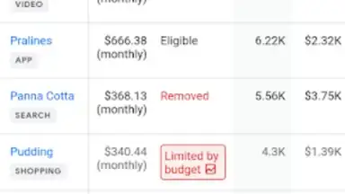 Google Ads screenshot 2