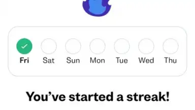 Busuu screenshot 16