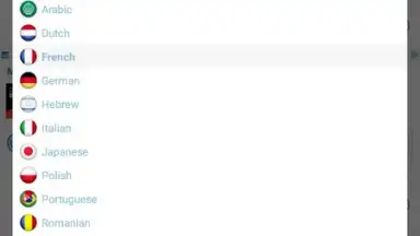 Reverso Translation Dictionary screenshot 9