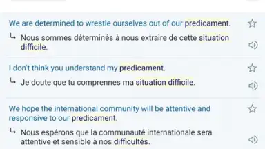 Reverso Translation Dictionary screenshot 3