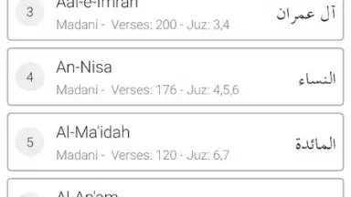 Easy Quran Mp3 screenshot 6