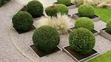 Garden Design Ideas screenshot 4