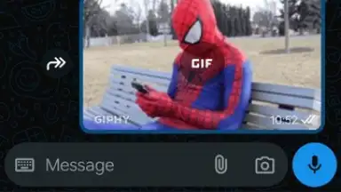 WhatsApp Business screenshot 6