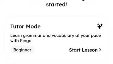 Pingo AI screenshot 1