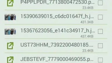 Download Manager Android screenshot 4