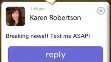 Pinger Messenger screenshot 3