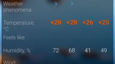 Расписание Погоды (RP5) screenshot 3