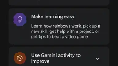 Google Gemini screenshot 3
