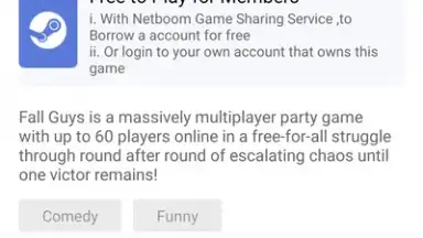 netboom screenshot 6