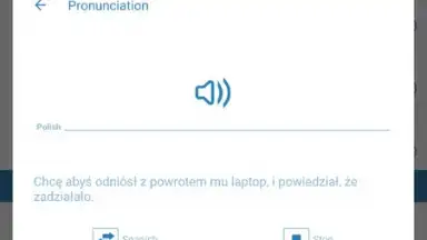 Reverso Translation Dictionary screenshot 14