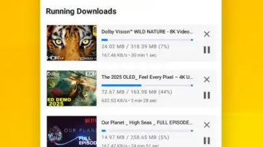 Vidora YouTube Downloader | free & fast screenshot 1