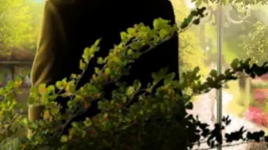 Time Travel Romance screenshot 3