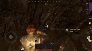 Abyss of Dungeons (Dark and Darker Mobile) screenshot 13