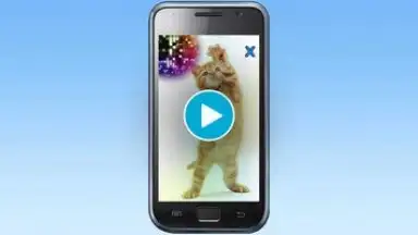 Talking, Dancing Cat. screenshot 1