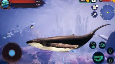 The Humpback Whales screenshot 22
