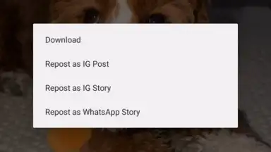 InstaPrime screenshot 2