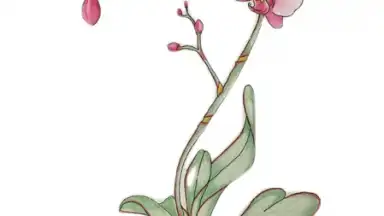 Shuffles by Pinterest screenshot 2