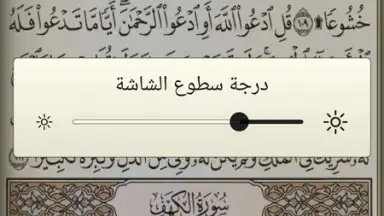 القرآن الكريم كامل مع التفسير‎ screenshot 3