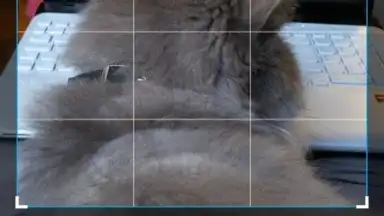 LeafPic screenshot 5