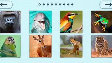 Puzzles without Internet screenshot 3
