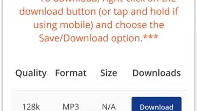 Pick Video downloader screenshot 2