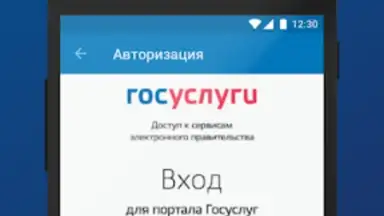 ПФР Электронные сервисы screenshot 6