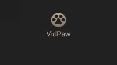 VidPaw App screenshot 3