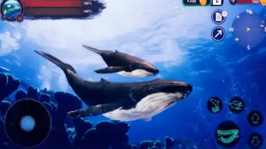 The Humpback Whales screenshot 18