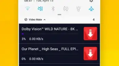 Vidora YouTube Downloader | free & fast screenshot 10
