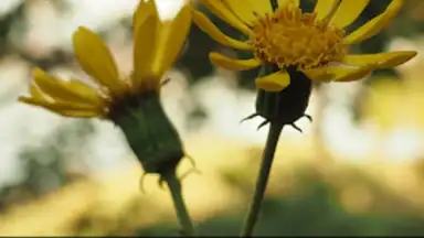 OLYMPUS Image Share screenshot 1