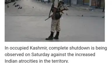 Pak Browser screenshot 2