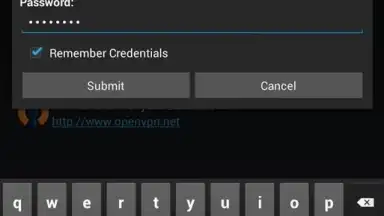 OpenVPN Connect screenshot 14