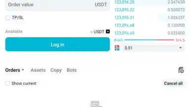Bitget screenshot 28