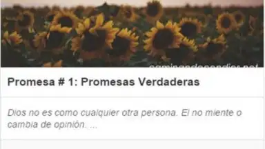 Caminando con Dios screenshot 2