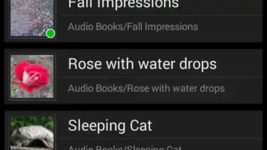 Music Folder Player Free screenshot 2