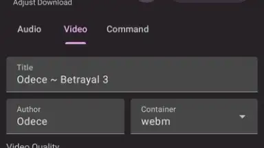 YTDLnis screenshot 4